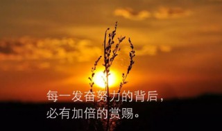 每一天努力坚持的句子 每一天努力坚持的句子说说