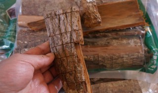 卡宾达树皮有什么功效（卡宾达树皮有什么功效?吃了有什么好处?）