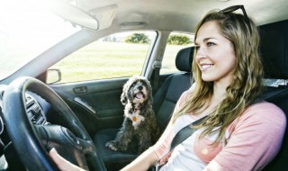 小金人是什么车 劳斯莱斯小金人是什么车