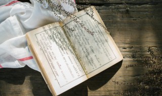 西游记第十六回概括（西游记第十六回概括50字）