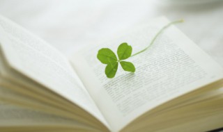 一个日一个翟读什么 一个日一个翟读什么字