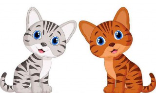 束家的猫寓言故事告诉我们什么道理 中国古代寓言故事束家的猫读后感