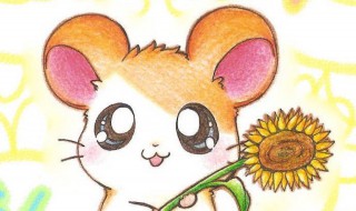 哈姆太郎是什么仓鼠 哈姆太郎和仓鼠管家是一样的吗