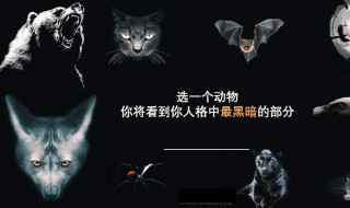 黑暗人格的人的特征 黑暗人格的人的特征有哪些