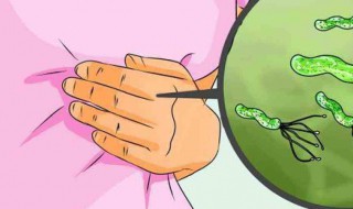 幽门螺旋杆菌与什么疾病有关 幽门螺杆菌与哪些疾病有关