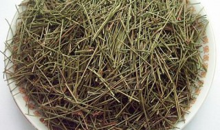 松针叶怎样快速腐烂 松针叶怎么腐熟