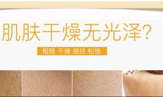 干性皮肤用什么补水最快吸收（干性皮肤用什么补水最好）
