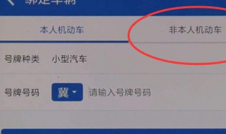 交管12123怎么查别人的违章（如何用交管12123查询别人的违章）