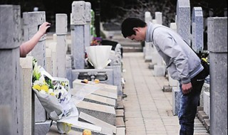 清明祭祀内容 清明祭祀内容简介