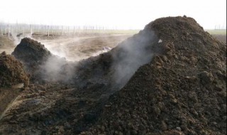 尿发酵多久能当肥 尿发酵多久能当肥料用