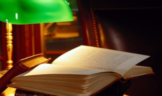 男主是个胖子青梅竹马的小说 女主是胖子的青梅竹马文