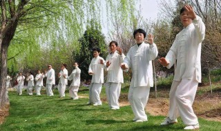 太极拳基本功训练方法（太极拳基本功训练方法一易鹏）