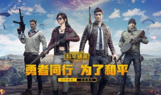 和平精英怎么看自己被限制（和平精英怎么看自己被限制了）