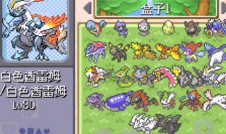 口袋妖怪漆黑的魅影利欧路怎么进化（口袋妖怪漆黑魅影利路欧几级进化）