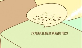 怎么算有螨虫 螨虫算什么