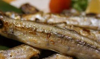 怎么烤贝鱼 烤贝鱼图片