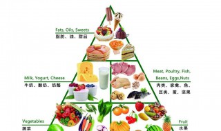 如何注意膳食营养（如何注意膳食营养搭配）