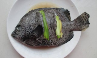 鱼自己怎么处理(鱼自己怎么处理好吃)