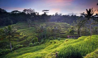 巴厘岛拍照要注意（巴厘岛拍照最美姿势）