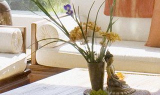 怎么祛除苯味（怎么去除苯酚味道）