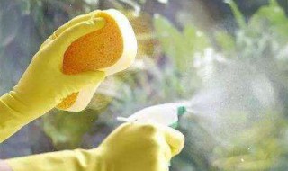 清洁玻璃有什么妙招图文(清洁玻璃的妙招)