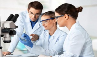 血浆主要由什么组成? 血浆的成分主要是