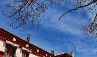 出家要带随身衣物吗 出家人外出可以穿便装吗?