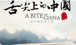 舌尖上的中国粽子是哪一集（舌尖上的中国粽子是哪一集吃的）