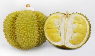 甲仑榴莲如何辨认是否成熟 甲仑榴莲什么时候成熟