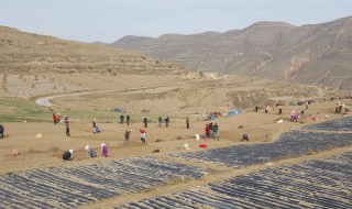 顶坛花椒产区极度缺水的自然原因