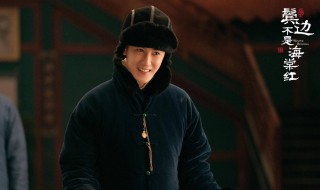 鬓边不是海棠红曹贵修结局 鬓边不是海棠红曹贵修结局小说