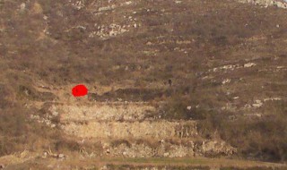 迁坟的注意事项有什么（迁坟的注意事项有什么讲究）