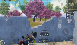 和平精英的地图是哪个地方 和平精英的地图是哪个地方出的