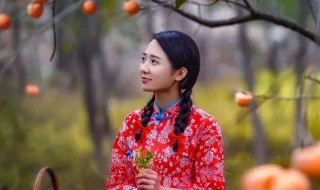 柿子红了电视剧演员表（电视剧《柿子红了》）