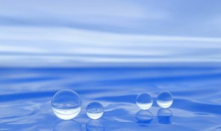 水珠怎么养（水珠怎么养大）