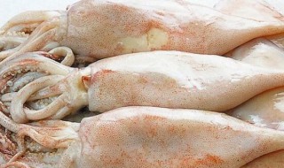 鱿鱼丝怎么清洗（鱿鱼丝怎么清洗最干净）