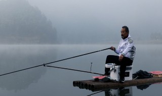 钓鱼的人为什么短命 一天中钓白条最好时间