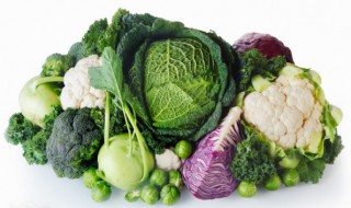 1一12月种蔬菜表 1一12月种蔬菜表和收菜表