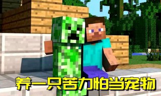 我的世界怎么变成苦力怕啊（我的世界变身苦力怕以后怎么自爆）