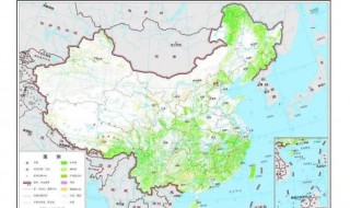 2019中国森林覆盖率（2019年我国森林覆盖率是多少）