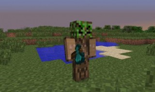 我的世界如何做村民交易 我的世界村民交易中心教程