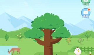 蚂蚁森林合种怎么进入（蚂蚁森林怎么开合种）