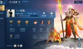 王者荣耀为什么贵族隐藏不了 王者荣耀为什么贵族隐藏不了等级