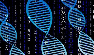 为什么说染色体是DNA的主要载体（为什么说染色体是基因的主要载体）