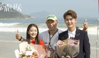 爱情的开关演员表（爱情的开关演员表全部）