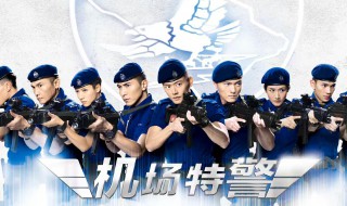 机场特警电视剧演员表(机场特警电视剧演员表名单)