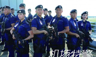 机场特警什么时候更新 机场特警一共多少集