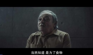 饥饿站台讲的什么 饥饿站台讲的什么意思看不懂