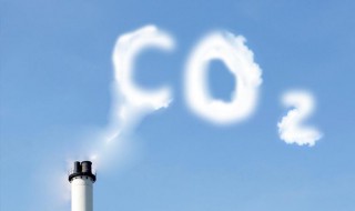 中国碳排放量在哪一年达到峰值(减少碳排放的措施)