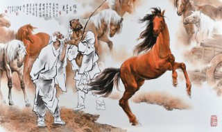 千里马为什么需要伯乐 怎么看待千里马和伯乐的关系